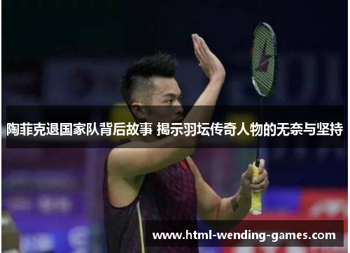 陶菲克退国家队背后故事 揭示羽坛传奇人物的无奈与坚持 陶菲克退国家队背后故事 揭示羽坛传奇人物的无奈与坚持