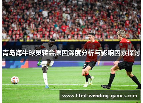青岛海牛球员转会原因深度分析与影响因素探讨 青岛海牛球员转会原因深度分析与影响因素探讨