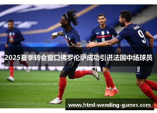 2025夏季转会窗口佛罗伦萨成功引进法国中场球员